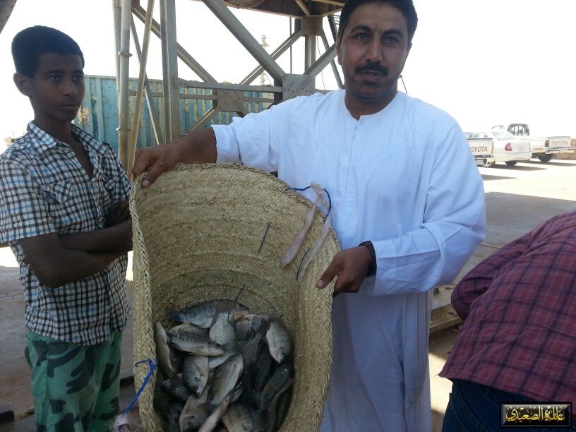 Sudan35-84