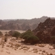 Algad3a008